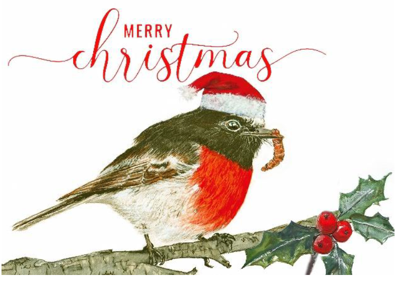 2025-12-14 Sunday at 9:00AM – Christmas Get Together with ECCO at Borenore CWA&nbsp;Hall