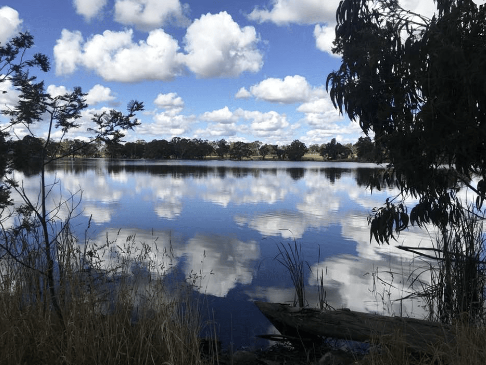 2026-02-15 – Sunday 15 February – Picnic and Spotlighting at Gosling&nbsp;Creek