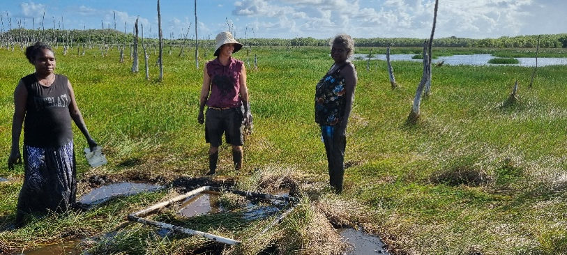 2026-09-10 – Thursday 10 September – Biocultural restoration: addressing linked declines of ecosystems and Aboriginal cultural values as a way to create uniquely Australian ways of caring for Country.